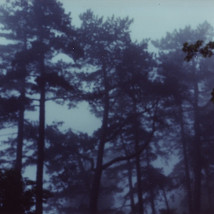 Gary Coyle RHA |  Royal Hibernian Academy 
15 Ely Place, Dublin 2 | Friday 5 September to Friday 19 December 2014 | to 