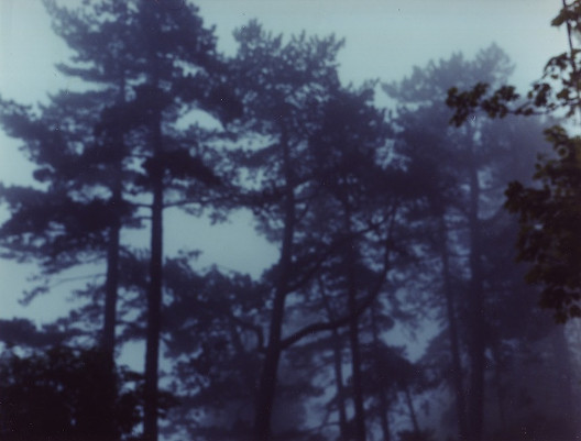 Gary Coyle RHA: Fog, Vico Road, 2006, C-Print, Edition of 5, 100 x 150 cm. Image courtesy of the artist2013, C-Print, 100 x 100 xm, Edition of 8 + 2 AP, Image courtesy of the artist | Gary Coyle RHA | Friday 5 September  – Friday 19 December 2014 | Royal Hibernian Academy