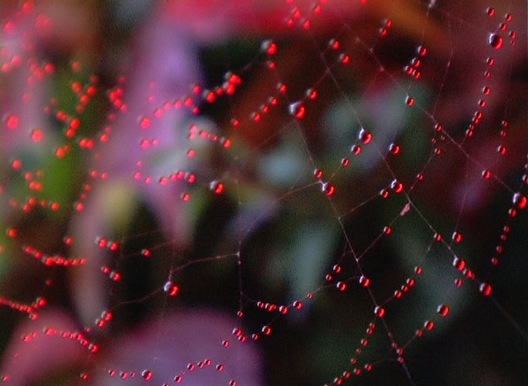 Paul Murnaghan: Penumbra 3 (The blodd of Cottingly Oath), 2010, Video still, Image courtesy of the artist | Paul Murnaghan: Penumbra | Friday 5 September  – Sunday 26 October 2014 | Royal Hibernian Academy