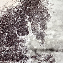 ‘It is not on any map, true places never are’ |  No. 2 Clifden Youghal, Co. Cork | Friday 22 August to Saturday 13 September 2014 | to 