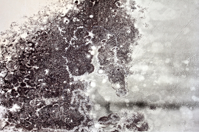 ‘It is not on any map, true places never are’ | Friday 22 August  – Saturday 13 September 2014 | 