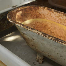 Dorothy Cross: Eye of Shark |  Lismore Castle Arts: St Carthage Hall 
Chapel Street, Lismore Co. Waterford | Saturday 6 September to Sunday 19 October 2014 | to 