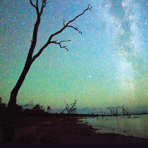 Amy Walsh: The Talking Earth |  Butler Gallery 
Evans’ Home John’s Quay, Kilkenny | Saturday 18 October to Sunday 14 December 2014 | to 