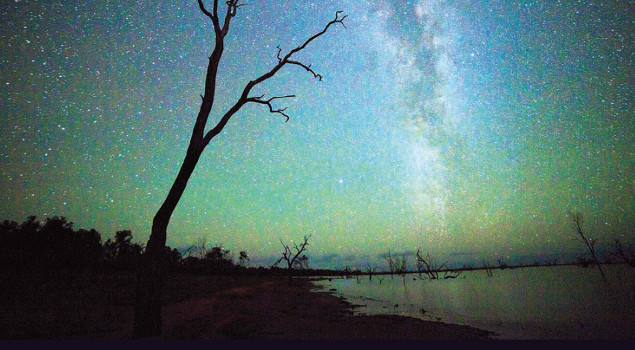 Amy Walsh: The Talking Earth | Saturday 18 October  – Sunday 14 December 2014 | Butler Gallery