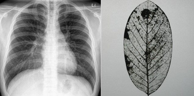 Mary Ruth Walsh: video still, 2014 | Phoenix Rising: Art and Civic Imagination | Friday 7 November 2014  – Sunday 29 March 2015 | 