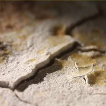 Pluck @ The Land of Zero |  Crawford Art Gallery 
Emmet Place, Cork | Monday 24 November to Saturday 6 December 2014 | to 