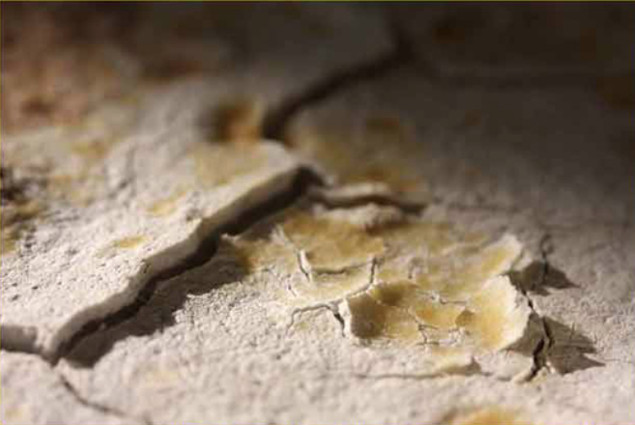 Cliodhna O’Riordan: Detail of Plaster & Custard Reaction II, 2014 | Pluck @ The Land of Zero | Monday 24 November  – Saturday 6 December 2014 | Crawford Art Gallery