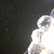 Into the Field |  The Model 
The Mall Sligo  | Saturday 11 October 2014 to Sunday 11 January 2015 | to 