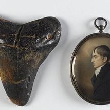 Trove |  IMMA 
Royal Hospital, Kilmainham Dublin 8 | Wednesday 3 December 2014 to Sunday 8 March 2015 | to 