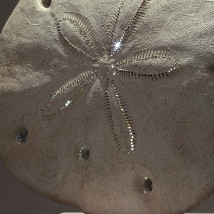 RHA New Acquisitions |  Royal Hibernian Academy 
15 Ely Place, Dublin 2 | Friday 16 January to Sunday 26 April 2015 | to 