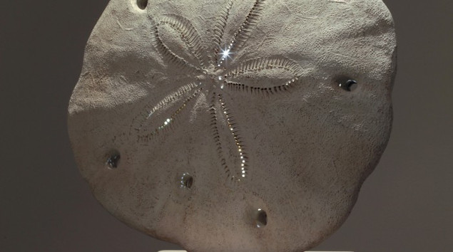 Rachel Joynt | RHA New Acquisitions | Friday 16 January  – Sunday 26 April 2015 | Royal Hibernian Academy