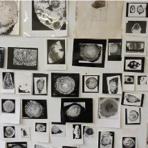 Welcome Disturbances |  The LAB 
Foley Street, Dublin 1 | Friday 30 January to Saturday 11 April 2015 | to 