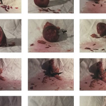 Irish Wave 2015: Golden Fleece |  Inter Art Center  798 Art Zone, Beijing | Monday 16 March to Friday 27 March 2015 | to 