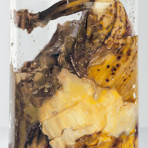 Spring Exhibition |  Gormleys Fine Art, Dublin 
27 South Frederick Street, Dublin 2 | Saturday 21 March to Sunday 12 April 2015 | to 