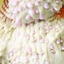 Dead Zoo |  ArtBox 
Unit 3, James Joyce Street Dublin 1 | Friday 20 March to Saturday 25 April 2015 | to 