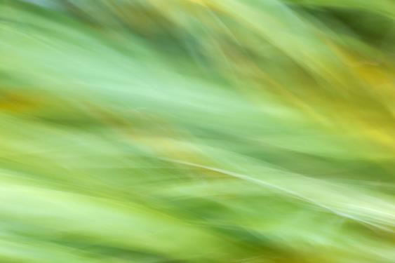 Sidarta Corral: Abstract Reality | Saturday 7 March  – Saturday 28 March 2015 | CIT Wandesford Quay Gallery