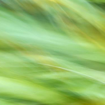 Sidarta Corral: Abstract Reality |  CIT Wandesford Quay Gallery 
Cork | Saturday 7 March to Saturday 28 March 2015 | to 