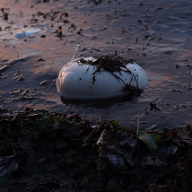 Orla Mc Hardy: For the Hills |  Regional Cultural Centre 
Port Road, Letterkenny Co. Donegal | Saturday 21 March to Saturday 25 April 2015 | to 