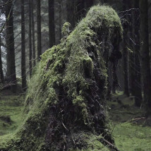 Sonorities Festival 2015 at QSS |  QSS Bedford Street 
The Arches Centre 11-13 Bloomfield Avenue Belfast | Thursday 16 April to Saturday 2 May 2015 | to 