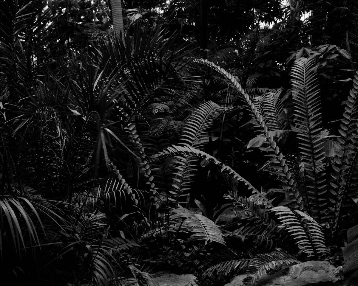 Martin Healy: Terrain | Monday 13 July  – Sunday 26 July 2015 | Galway Arts Centre