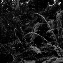 Martin Healy: Terrain |  Galway Arts Centre 
47 Dominick Street Galway | Monday 13 July to Sunday 26 July 2015 | to 