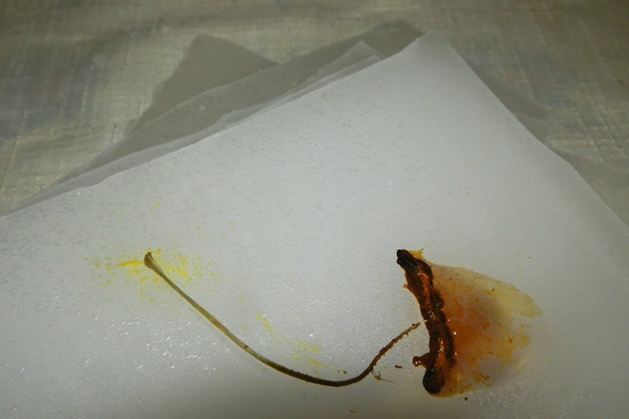 Marie Farrington: In Good Faith they Waited for Gravity | Saturday 20 June  – Saturday 18 July 2015 | Rua Red