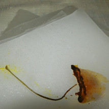 Marie Farrington: In Good Faith they Waited for Gravity |  Rua Red 
South Dublin Arts Centre Tallaght, Dublin 24 | Saturday 20 June to Saturday 18 July 2015 | to 