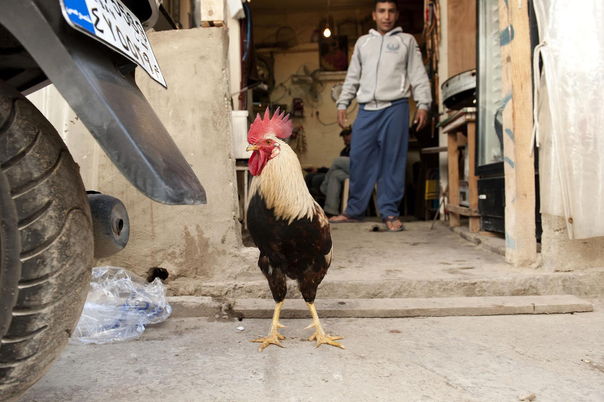 Omar Yashruti | A Creative County | Friday 11 November 2016  – Saturday 28 January 2017 | Regional Cultural Centre