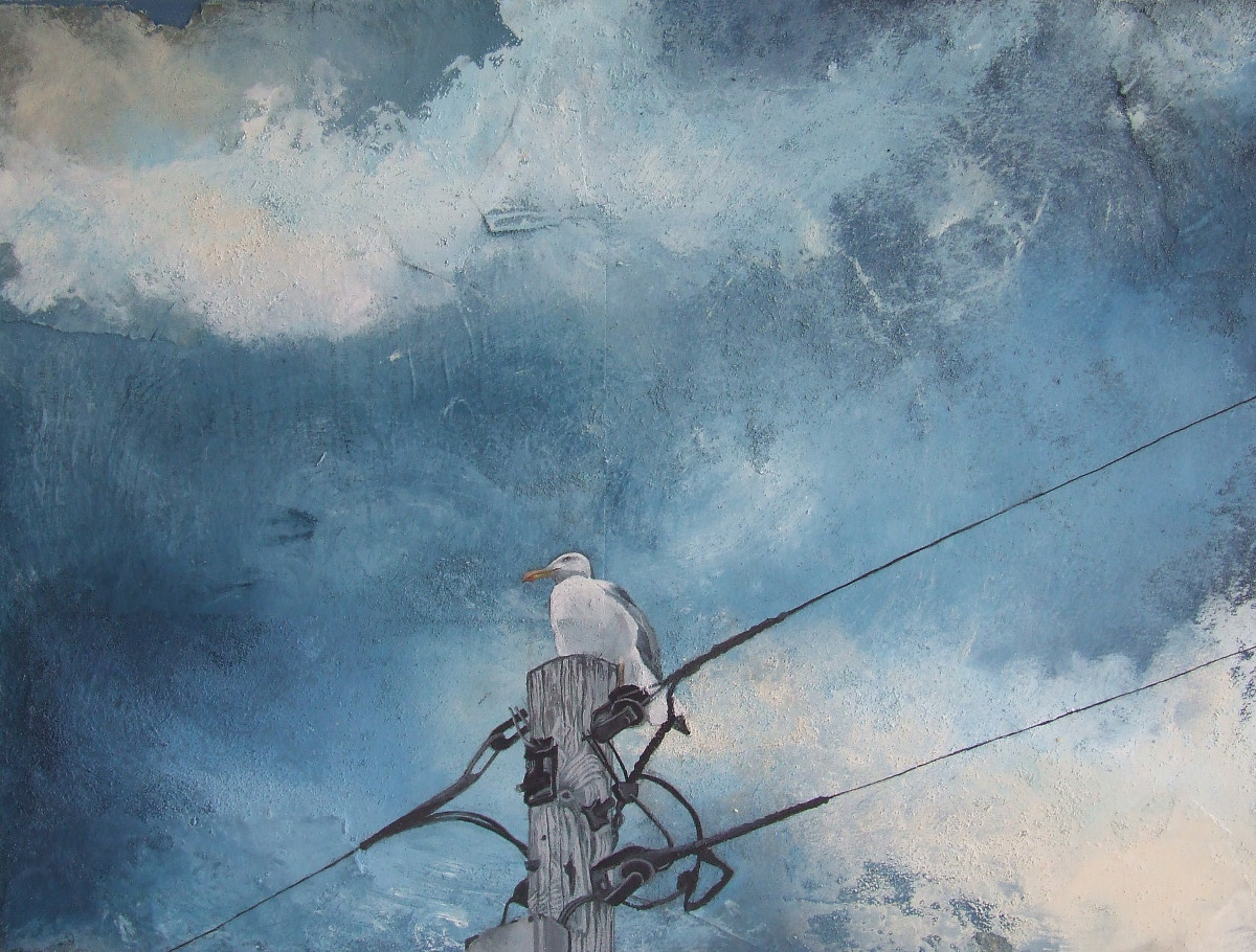 Ciara Foster: Not only of the Sea | Wednesday 8 July  – Tuesday 28 July 2015 | Toradh Gallery