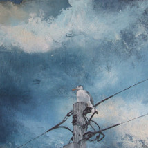 Ciara Foster: Not only of the Sea |  Toradh Gallery 
Ashbourne Cultural Centre Ashbourne, Co. Meath | Wednesday 8 July to Tuesday 28 July 2015 | to 