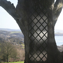 Laura Gannon: Silver House |  Uillinn: West Cork Arts Centre 
Skibbereen, Co Cork | Saturday 18 July to Monday 10 August 2015 | to 