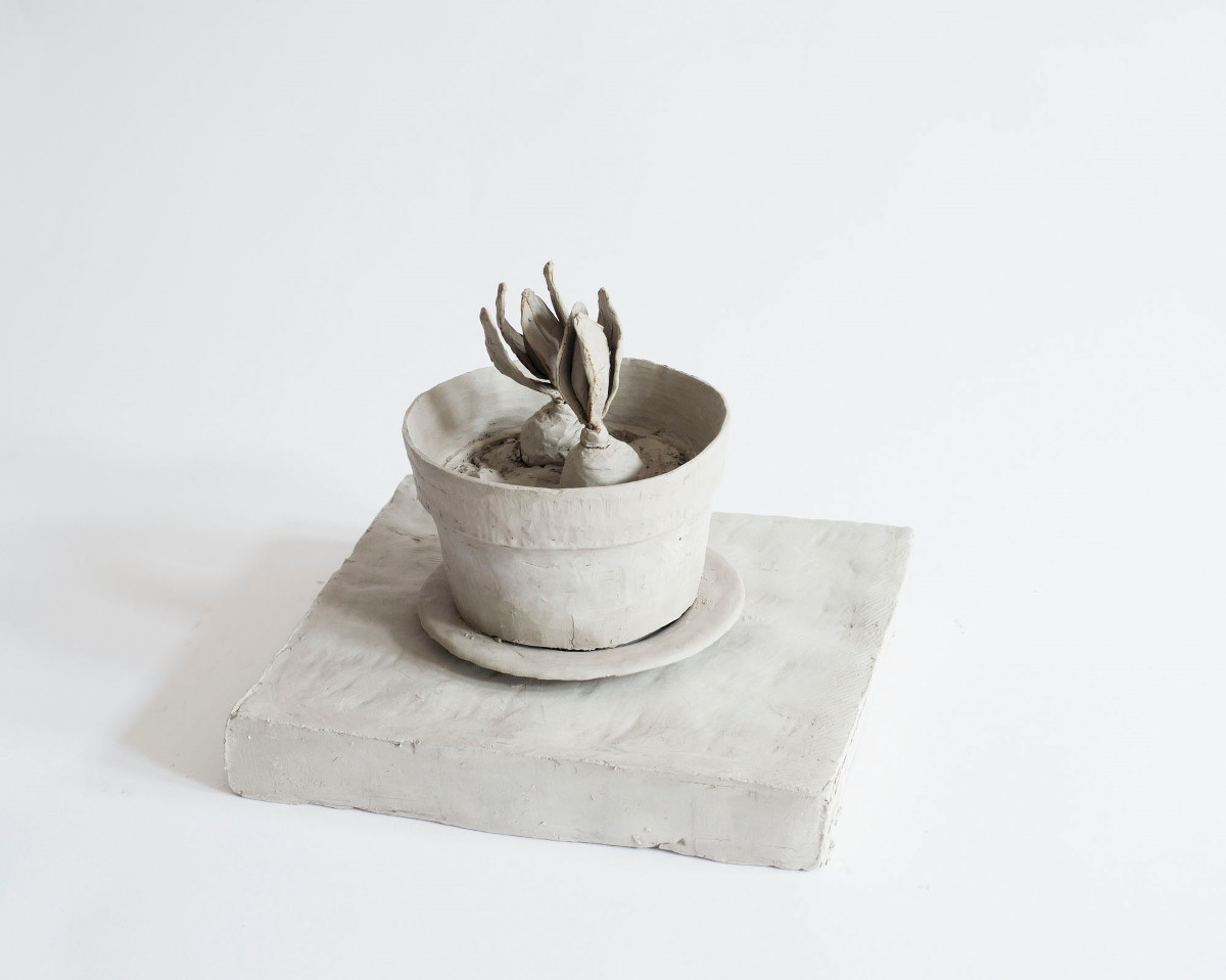 Daphne Wright: At a time | Thursday 16 July  – Friday 28 August 2015 | Limerick City Gallery