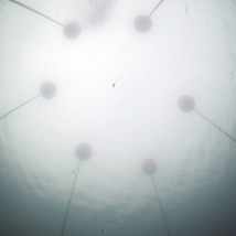 Ruth E. Lyons: The Sea, The Sea |  Mermaid Arts Centre 
Main Street, Bray Co. Wicklow | Friday 31 July to Saturday 5 September 2015 | to 