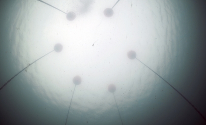 Ruth E. Lyons: The Sea, The Sea | Friday 31 July  – Saturday 5 September 2015 | Mermaid Arts Centre