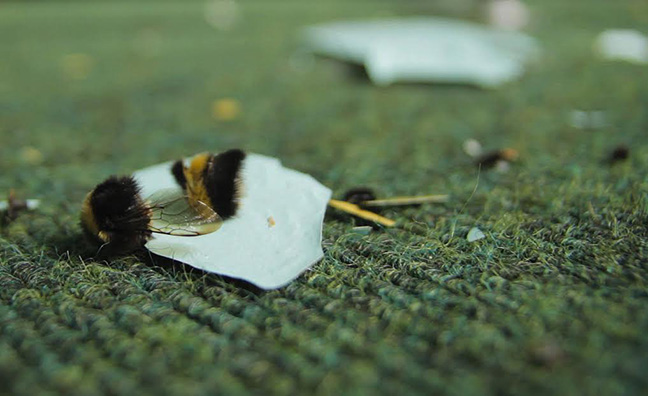 Bridget O’Gorman: Telling the Bees | Saturday 29 August  – Saturday 3 October 2015 | Galway Arts Centre