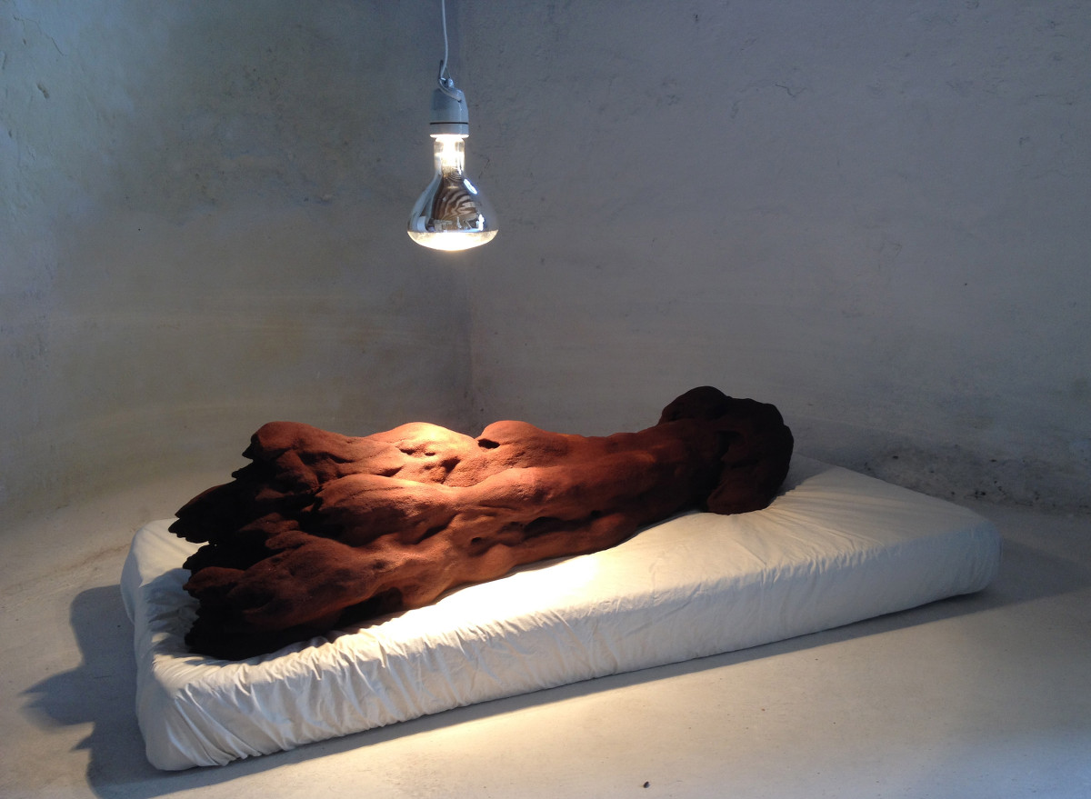 Sarah O'Flaherty: Reminiscence, iron, plaster, plant material, 100 x 50 x 40cm | Here & Now 2 | Tuesday 25 August  – Friday 18 September 2015 | Town Hall Gallery