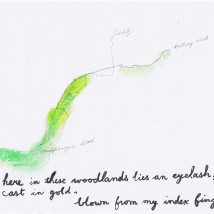 Elisabeth S Clark and Adrian Williams: Between the Woods and the Water |  Mermaid Arts Centre 
Main Street, Bray Co. Wicklow | Saturday 19 September to Saturday 31 October 2015 | to 