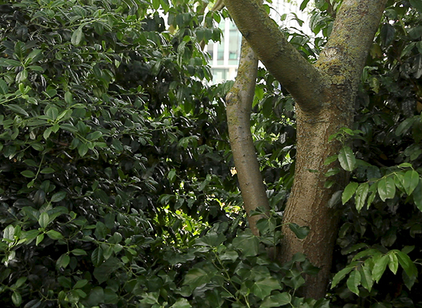 Mark Curran, Algorithmic Surrealism (still), 2015. Single channel HD digital video, color, sound/voiceover. Zuidas Global Financial District, Amsterdam, Netherlands | Mark Curran: The Economy of Appearances | Friday 4 September  – Friday 30 October 2015 | Limerick City Gallery