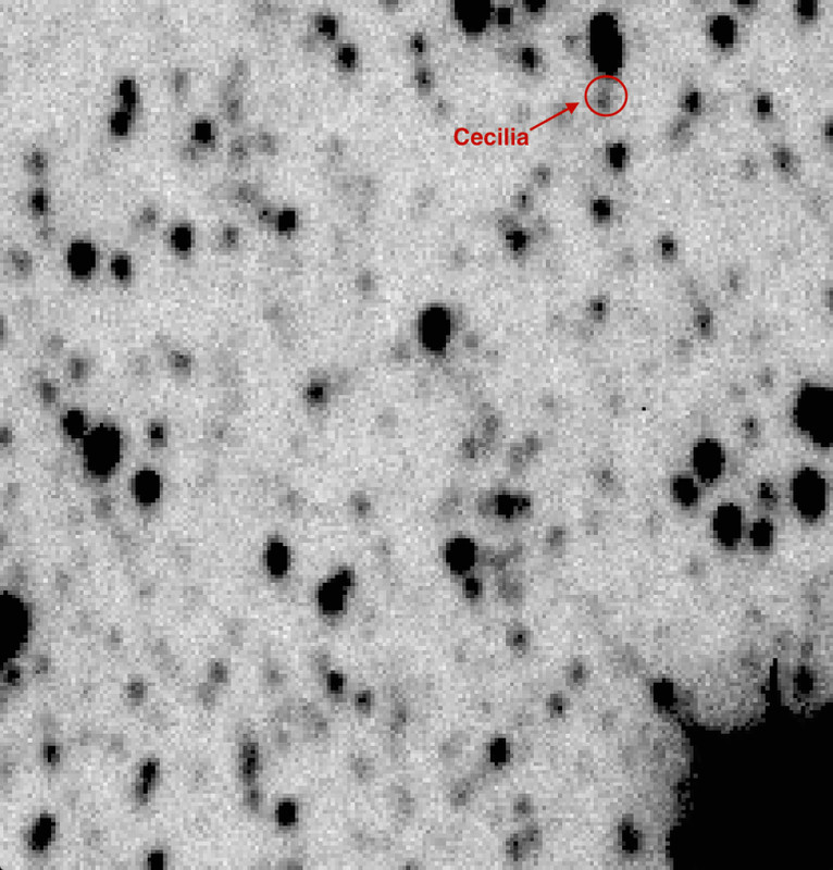 Emer O’Boyle, Prof. Lorraine Hanlon and processed by Dr Antonio Martin Carillo from, the UCD Watcher telescope | Emer O Boyle | Meadhbh O’Connor: 2039 | Friday 16 October  – Friday 20 November 2015 | ArtBox