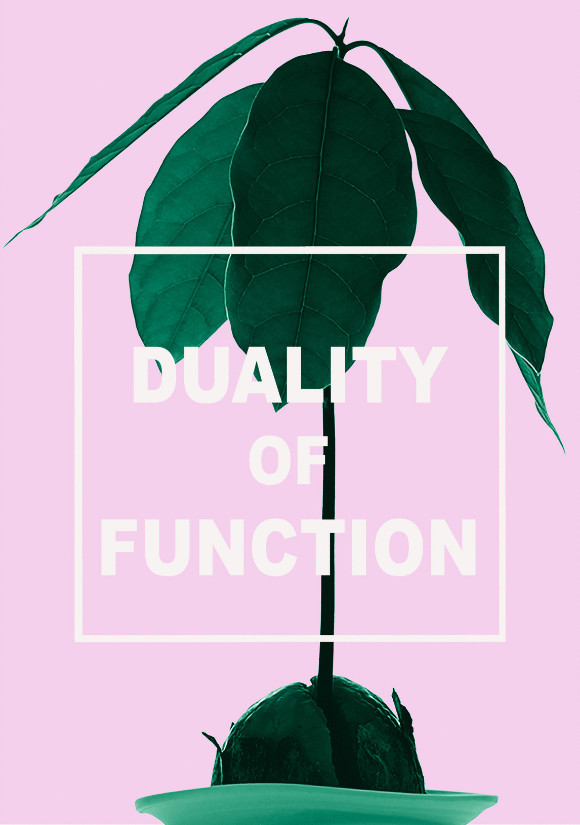 Duality of Function | Friday 9 October  – Saturday 31 October 2015 | Galway Arts Centre