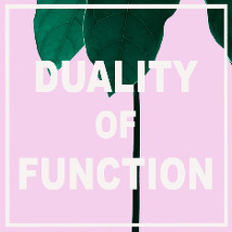 Duality of Function |  Galway Arts Centre 
47 Dominick Street Galway | Friday 9 October to Saturday 31 October 2015 | to 