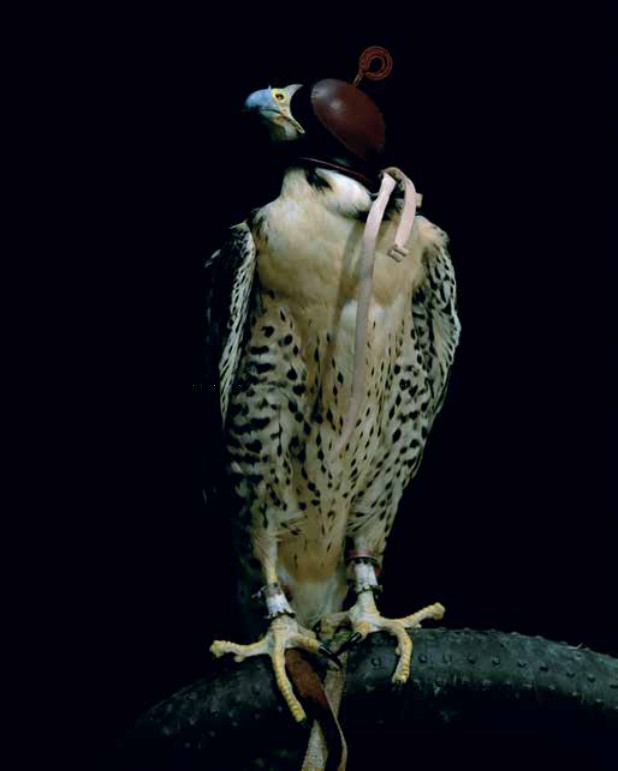 Martin Healy: Ganzfeld Study III, Lambda c-print, 160 x 122 cms, 2007 | CONSTRUCT | Saturday 7 November  – Friday 11 December 2015 | Luan Gallery