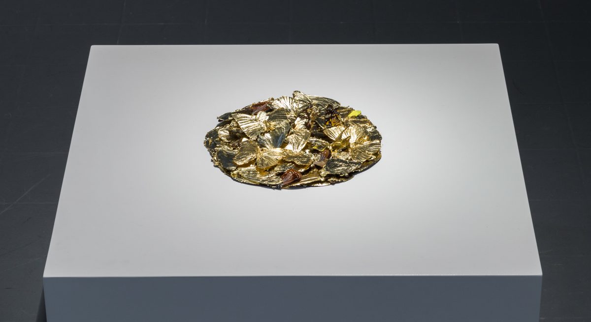 Bridget O’Gorman: Gilt, 126 hand gilded butterflies, wood, glass, 2012 | On Beauty | Saturday 12 December 2015  – Saturday 6 February 2016 | Roscommon Arts Centre