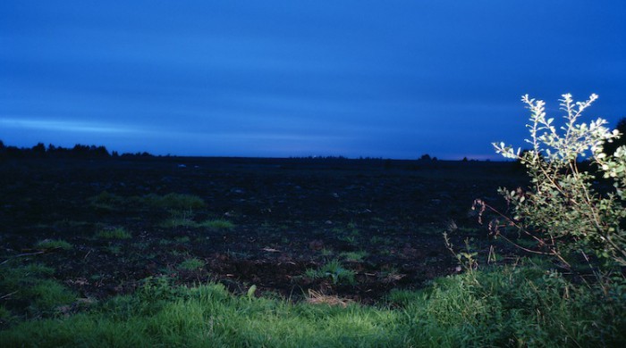 David Farrell:  Before, During, After … Almost | Friday 15 January  – Sunday 21 February 2016 | Royal Hibernian Academy