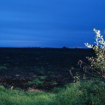 David Farrell: Before, During, After … Almost |  Royal Hibernian Academy 
15 Ely Place, Dublin 2 | Friday 15 January to Sunday 21 February 2016 | to 