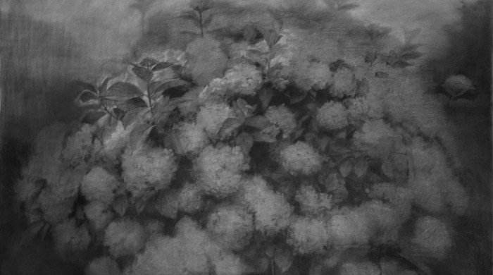 Maeve McCarthy: The Return | Friday 15 January  – Sunday 21 February 2016 | Royal Hibernian Academy