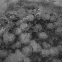 Maeve McCarthy: The Return |  Royal Hibernian Academy 
15 Ely Place, Dublin 2 | Friday 15 January to Sunday 21 February 2016 | to 