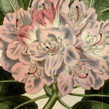 Gareth Kennedy: Post Colony |  VISUAL Centre for Contemporary Art 
Old Dublin Road, Carlow | Monday 18 January to Thursday 19 May 2016 | to 