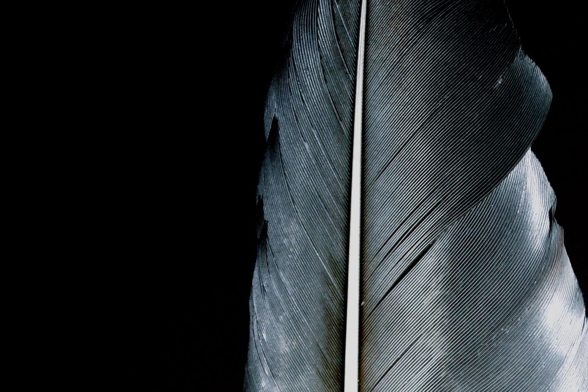 Rob Monaghan | Unfold | Saturday 16 January  – Saturday 27 February 2016 | Uillinn: West Cork Arts Centre