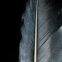 Unfold |  Uillinn: West Cork Arts Centre 
Skibbereen, Co Cork | Saturday 16 January to Saturday 27 February 2016 | to 